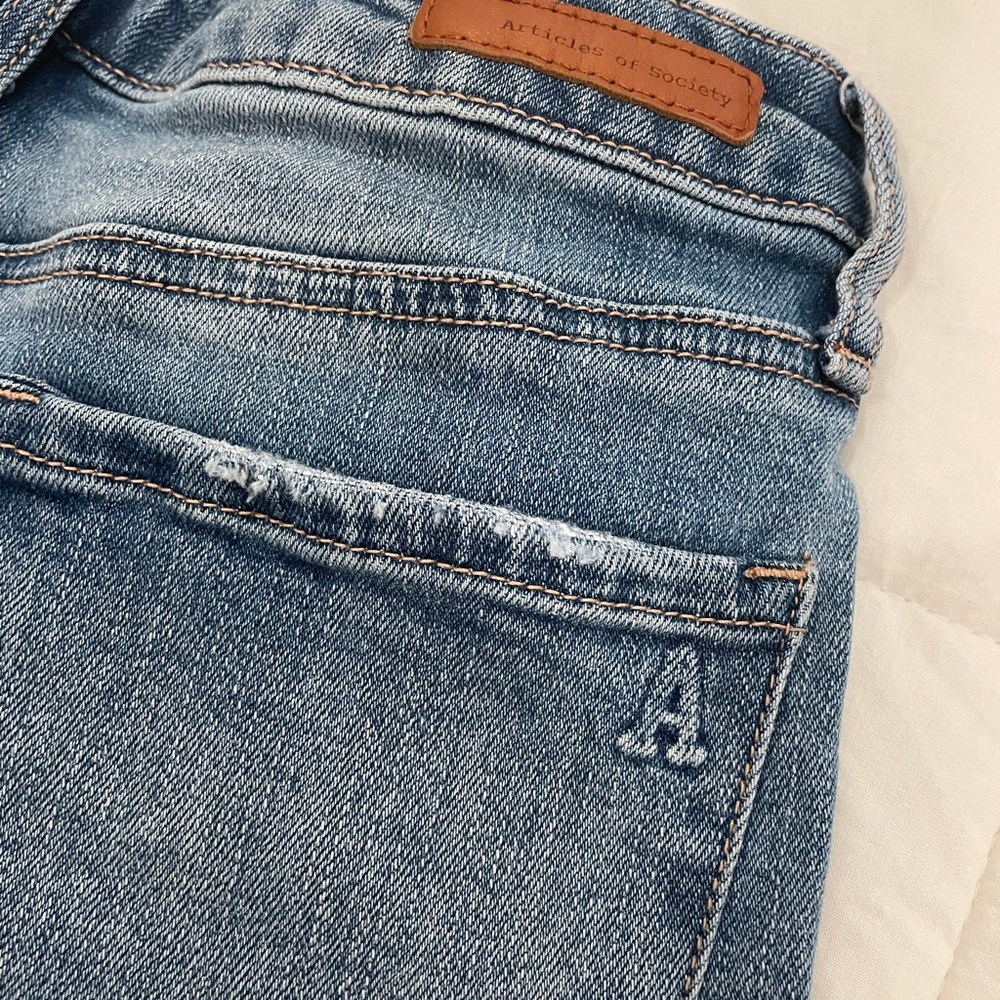 Articles of Society Shorts